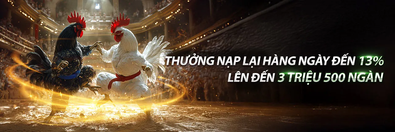 Hình ảnh tiêu đề trang tin tức 77king88 login, thể hiện sự năng động của cá cược trực tuyến
