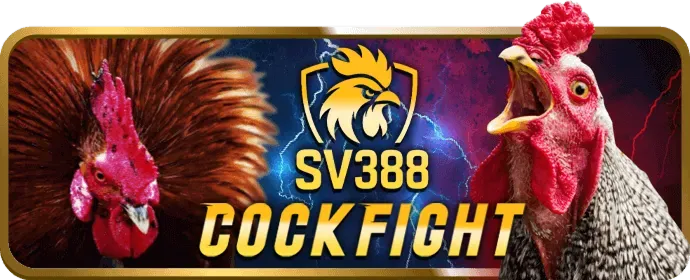 Dragon Tiger 77king88 Login